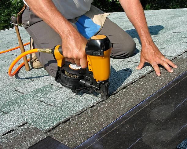 Best Shingle Roofing Installation  in King Cove, AK