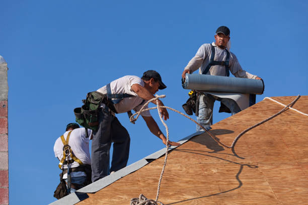 Best Roof Gutter Cleaning  in King Cove, AK